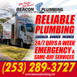 Drain Cleaning Auburn WA 98001