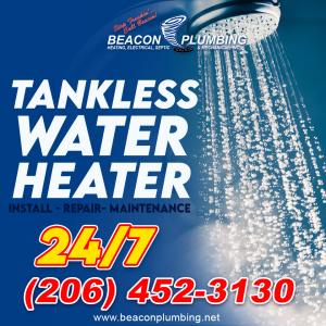 South King County Tankless Water Heater