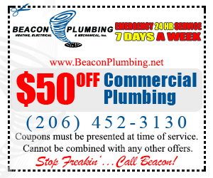 Snohomish Commercial Plumber