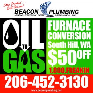 Oil to Gas Furnace Conversion South Hill