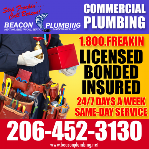 Commercial Plumber Clyde Hill