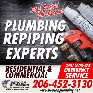 Repiping services Burien
