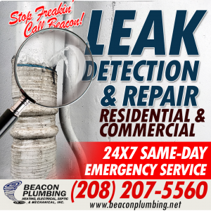 Boise Leak Repair