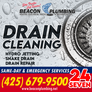 Bellevue Drain Cleaning Services
