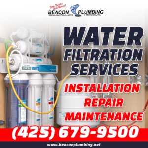 Water Filtration Services Bellevue WA 98004