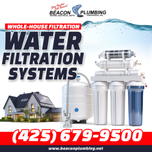 Sammamish Whole-House Water Filtration